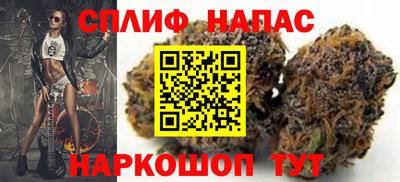 МДПВ Будённовск
