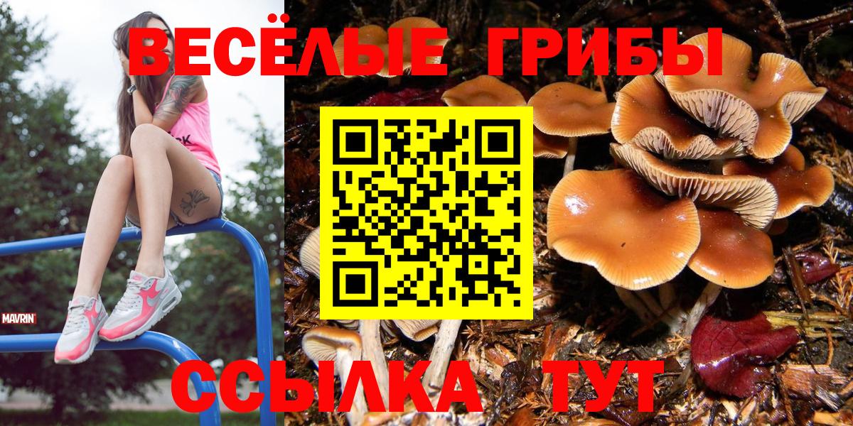 Сердобск  Псилоцибиновые грибы Magic Shrooms  закладки  Вход с VPN 
